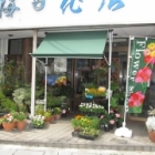 梅田花店