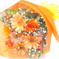 《Bouquet》Miracle Orange 《Bouquet》Miracle Orange
