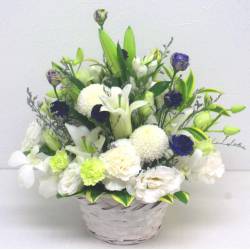 《Funal arrangement》Heart Alive 《Funal arrangement》Heart Alive