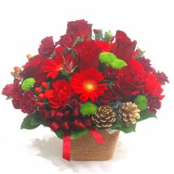 《Flower arrangement》Christmas Red 《Flower arrangement》Christmas Red