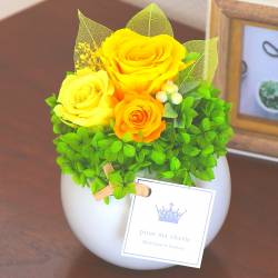 《Preserved Flower》Round Yellow 《Preserved Flower》Round Yellow