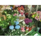 白坂花店