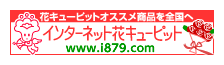 インターネット花キューピット