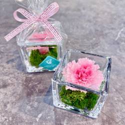 ”母の日限定商品”プリザーブドフラワー「GLASS CUBE カーネーション」