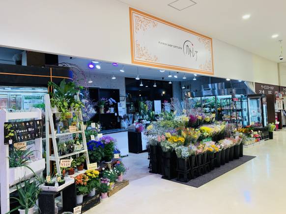 茨城県水戸市の花屋 フローリスト カトレアにフラワーギフトはお任せください 当店は 安心と信頼の花キューピット加盟店です 花キューピットタウン