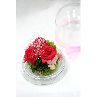 プリザーブドフラワー 赤 千葉県柏市の花屋 花屋 にフラワーギフトはお任せください 当店は 安心と信頼の花キューピット加盟店です 花キューピットタウン