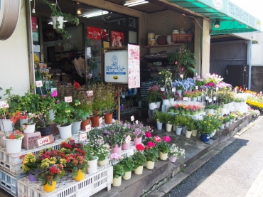 千葉県千葉市花見川区の花屋 スズキ園芸にフラワーギフトはお任せください 当店は 安心と信頼の花キューピット加盟店です 花キューピットタウン