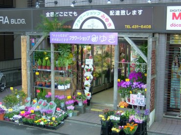 神奈川県横浜市神奈川区の花屋 フラワーショップ みゆきにフラワーギフトはお任せください 当店は 安心と信頼の花キューピット加盟店です 花キューピットタウン