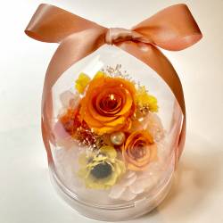 ローズドーム　オレンジ【P-234】