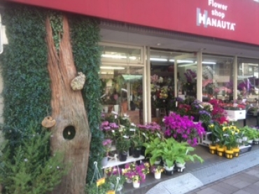 東京都荒川区の花屋 ｈａｎａｕｔａ にフラワーギフトはお任せください 当店は 安心と信頼の花キューピット加盟店です 花キューピットタウン