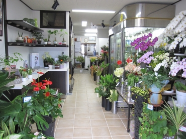 富山県富山市の花屋 花文にフラワーギフトはお任せください 当店は 安心と信頼の花キューピット加盟店です 花キューピットタウン 富山県富山市の花屋 花文にフラワーギフトはお任せください 当店は 安心と信頼の花キューピット加盟店です 花キューピットタウン