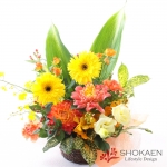 【アレンジ468】ハイランダー（YOR）