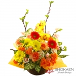 【アレンジ682】ロイン（Y/O/G）