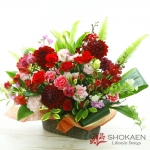 【アレンジ857】レッドアロー（R)