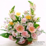 【アレンジ858】スワン（LP）