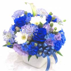 《Flower arrangement》Colon Blue