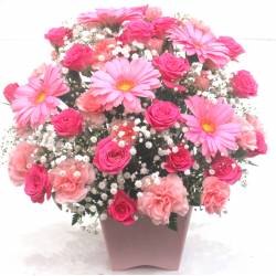 《Flower arrangement》Pinky Gerbera