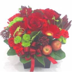《Flower arrangement》Red Poise
