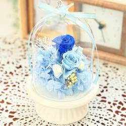 《Preserved Flower》Glass Birddome（Angel Blue）