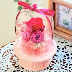 《Preserved Flower》Glass Birddome（Elegant Red）