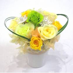 《Preserved Flower》Muscat Yellow
