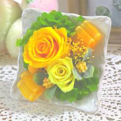 《Preserved Flower》Square Frame（Y×Y）