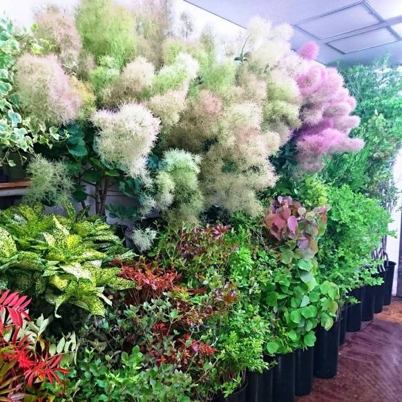 京都府京都市中京区の花屋 花市商店にフラワーギフトはお任せください 当店は 安心と信頼の花キューピット加盟店です 花キューピットタウン