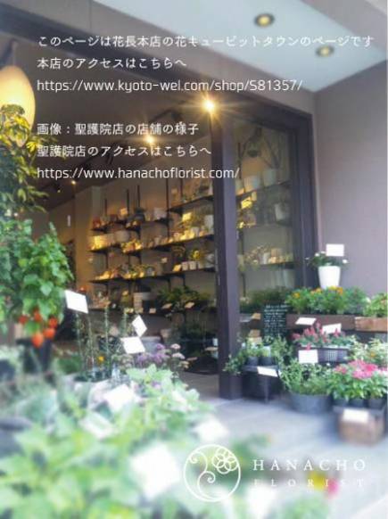 京都府京都市左京区の花屋 花長フローリストにフラワーギフトはお任せください 当店は 安心と信頼の花キューピット加盟店です 花キューピットタウン