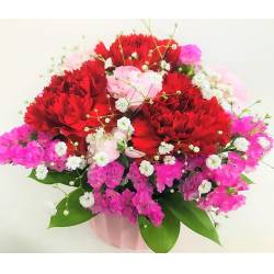 母の日用カーネーション赤のアレンジメント