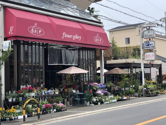 大阪府堺市堺区の花屋 フラワーギャラリー あかしやにフラワーギフトはお任せください 当店は 安心と信頼の花キューピット加盟店です 花 キューピットタウン