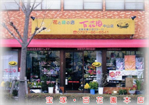 兵庫県宝塚市の花屋 百花園にフラワーギフトはお任せください 当店は 安心と信頼の花キューピット加盟店です 花キューピットタウン