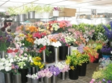 「八江農芸　ガルデン」　（長崎県諫早市）の花屋店舗写真3