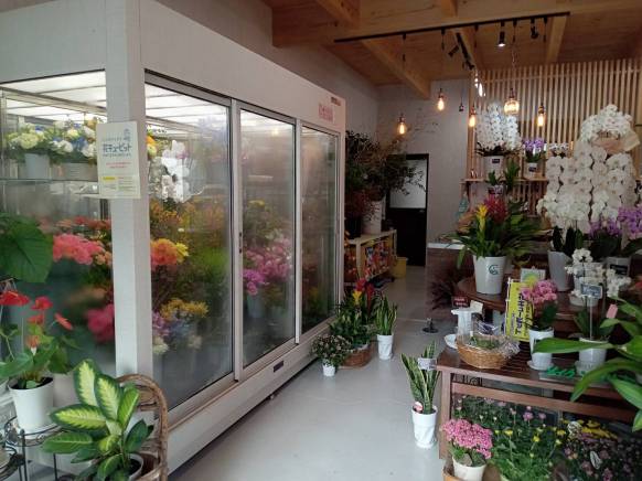 「メイク・ツルサキ」　（熊本県熊本市中央区）の花屋店舗写真4