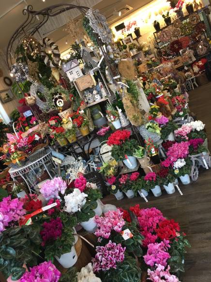 大分県玖珠郡玖珠町の花屋 花の店タケウチにフラワーギフトはお任せください 当店は 安心と信頼の花キューピット加盟店です 花キューピットタウン 大分県玖珠郡玖珠町の花屋 花の店タケウチにフラワーギフトはお任せください 当店は 安心と信頼の花キューピット加盟店です 花キューピットタウン
