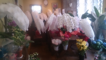 鹿児島県鹿児島市の花屋 花の店花昇にフラワーギフトはお任せください 当店は 安心と信頼の花キューピット加盟店です 花キューピットタウン